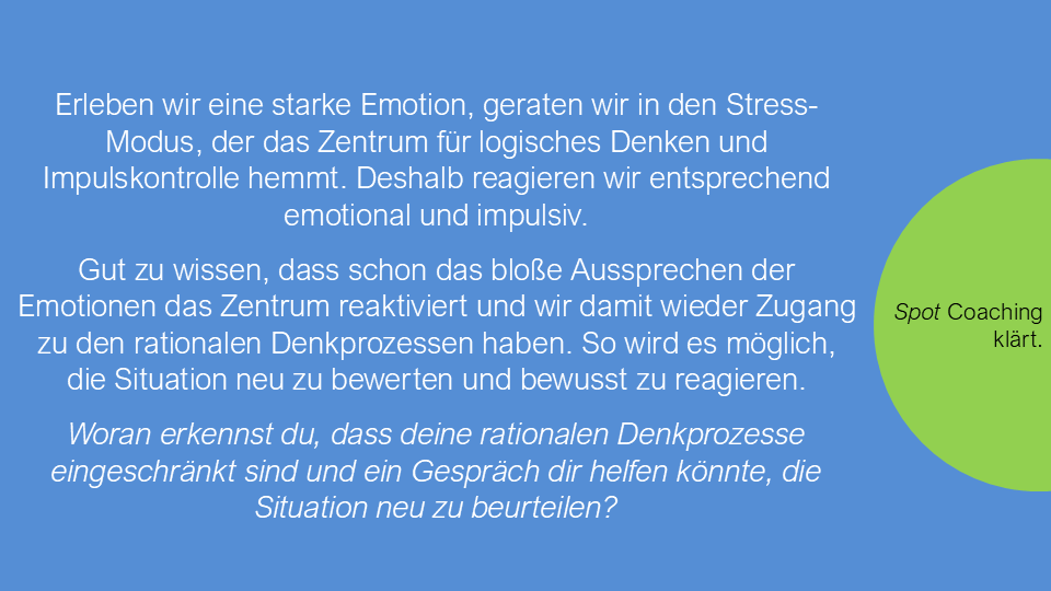 Verst%c3%a4ndnis ist ein prozess